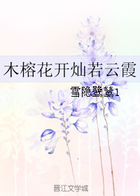 ľ�Ż���������ϼ
