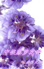 �غ����ܻ���