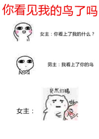 �㿴���ҵ�������