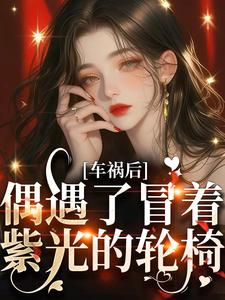 车祸后,偶遇了冒着紫光的轮椅
